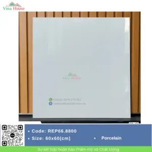Gạch 60x60 Redstar REP66.8800