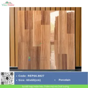 Gạch 60x60 Redstar REP66.8827