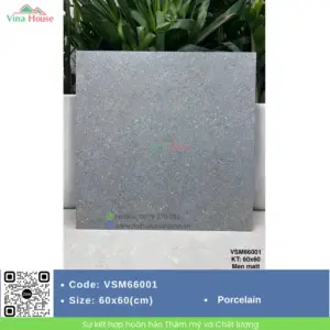 Gạch 60x60 VITALY VSM66001 Matt
