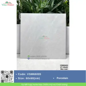 Gạch 60x60 VITALY VSM66005 Matt