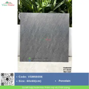 Gạch 60x60 VITALY VSM66006 Matt