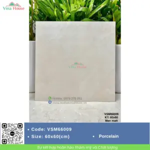 Gạch 60x60 VITALY VSM66009 Matt