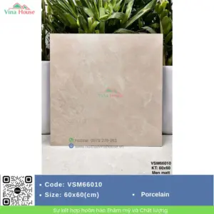 Gạch 60x60 VITALY VSM66010 Matt
