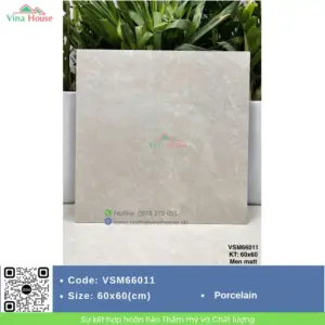 Gạch 60x60 VITALY VSM66011 Matt