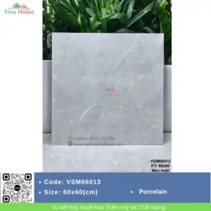 Gạch 60x60 VITALY VSM66013 Matt
