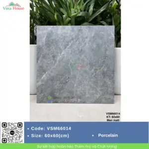 Gạch 60x60 VITALY VSM66014 Matt