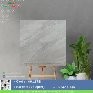 Gạch 60x60 ChangYih 60127B