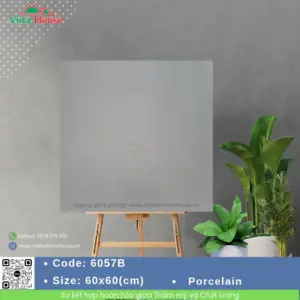 Gạch 60x60 ChangYih 6057B