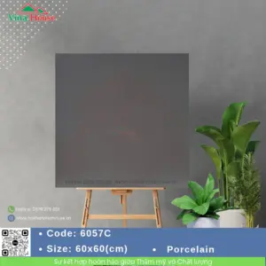 Gạch 60x60 ChangYih 6057C