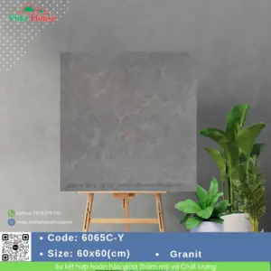 Gạch 60x60 ChangYih 6065C-Y