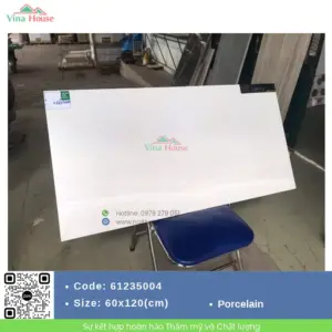 Gạch 60x120 APODIO 61235004 Matt Tinh Thể