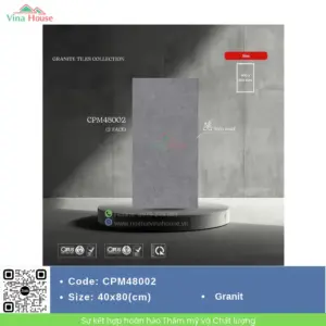 Gạch 40x80 TTC CPM48002