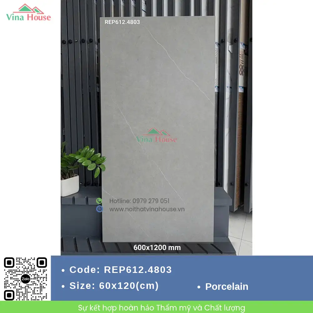 Gạch 60x120 Redstar REP612.4803 Matt