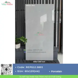 Gạch 60x120 Redstar REP612.5803 Bóng