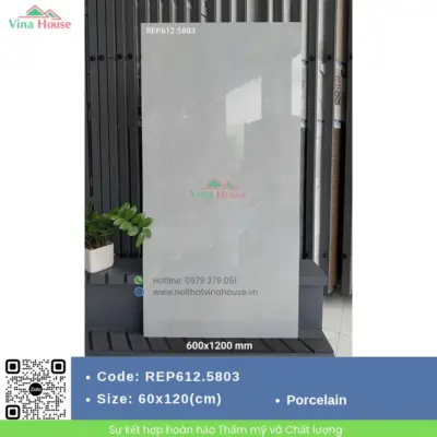 Gạch 60×120 Redstar REP612.5803 Bóng